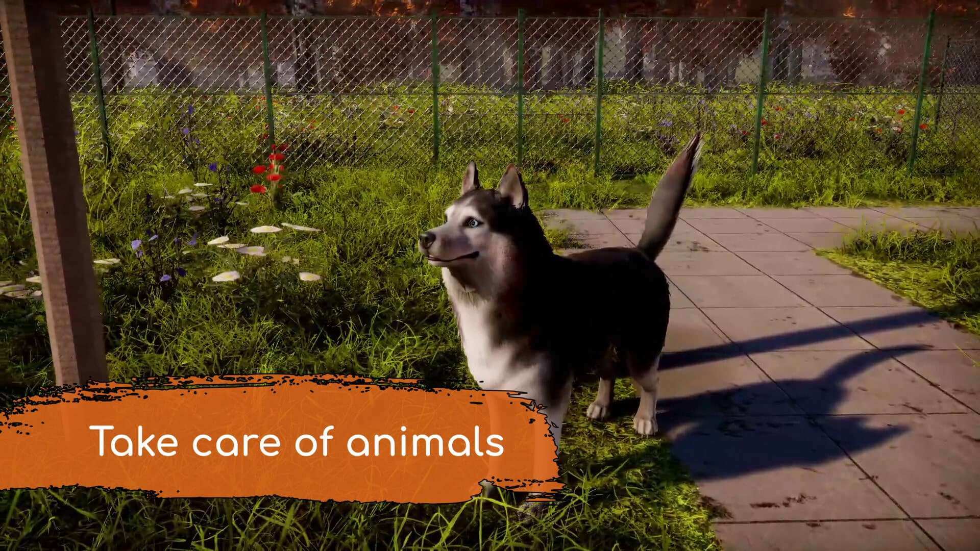 скриншоты Animal Shelter 2 скачать игру для ПК Море Игр