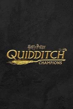 Harry Potter: Quidditch Champions постер