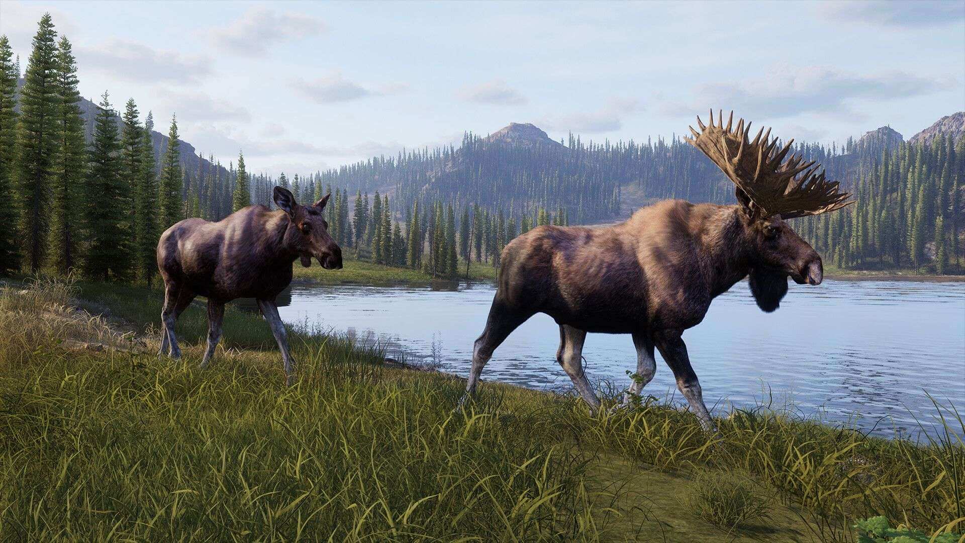 скриншоты Way of the Hunter 2 скачать игру для ПК Море Игр